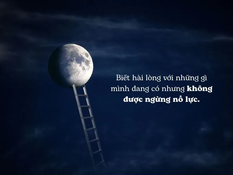 Biết đủ để hạnh phúc nhưng đừng bao giờ ngừng vươn tới những ước mơ