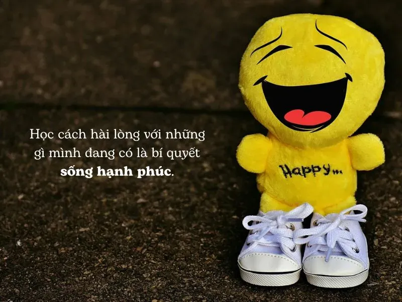 Hãy sống hết mình và hài lòng với những nỗ lực của bản thân