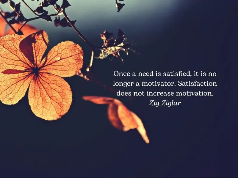 Trân trọng những gì đang có là nghệ thuật sống của người thông thái