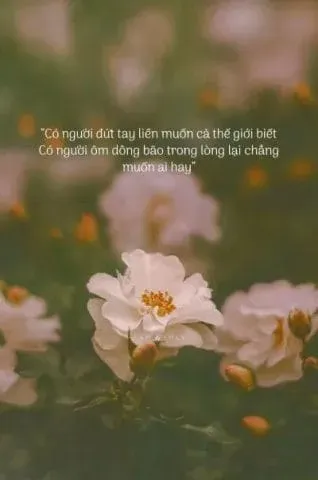 Hình ảnh ẩn dụ về lòng tham của con người và cái giá phải trả