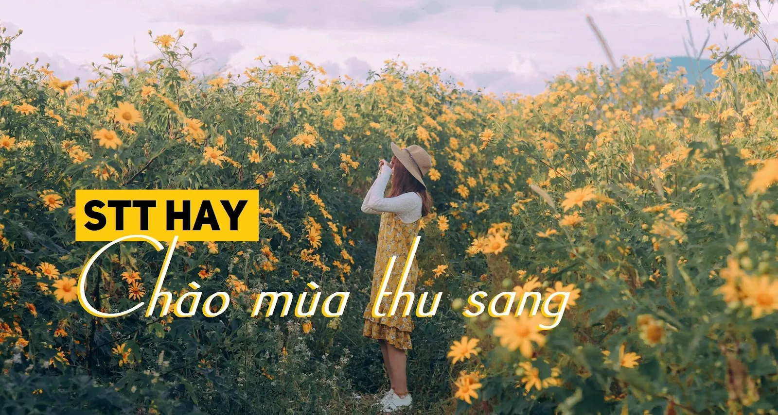 Không khí mùa thu dịu dàng chạm đến trái tim người đọc