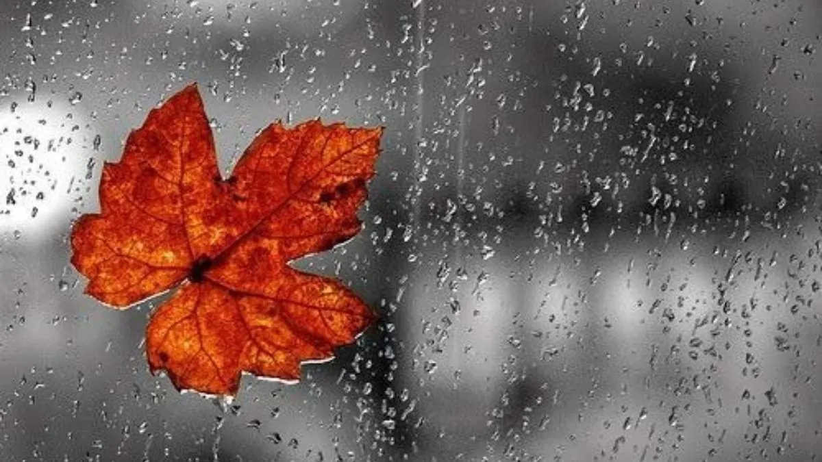 Cảm hứng từ thiên nhiên mùa thu qua những khung hình đẹp