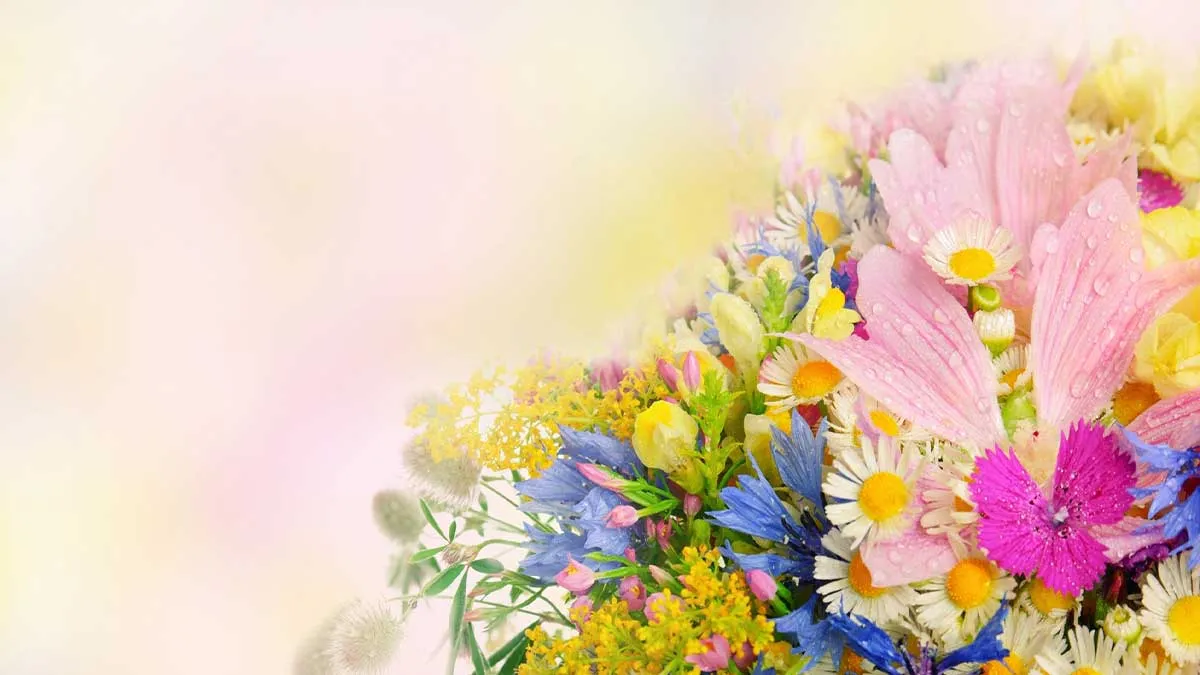 Học sinh cùng nhau chuẩn bị quà và lời chúc 20 10 cho cô giáo chủ nhiệm