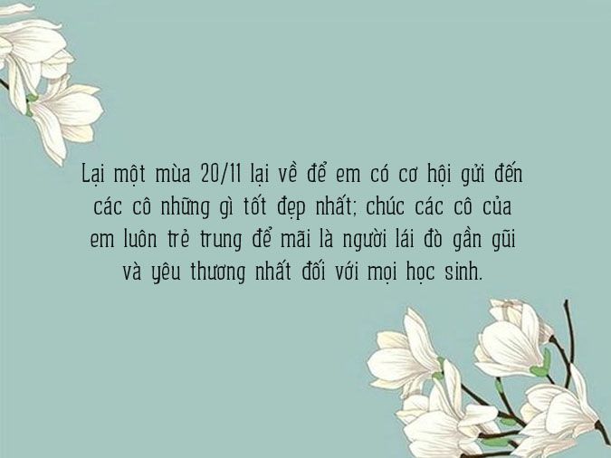 Lời Chúc 20 11 Cho Cô Giáo Chủ Nhiệm Hay Và Ý Nghĩa Nhất