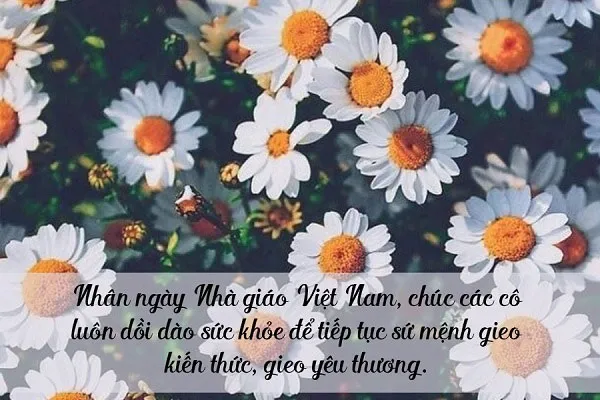 Bé tặng hoa và gửi lời chúc 20 11 giáo viên mầm non trong ngày Nhà giáo Việt Nam