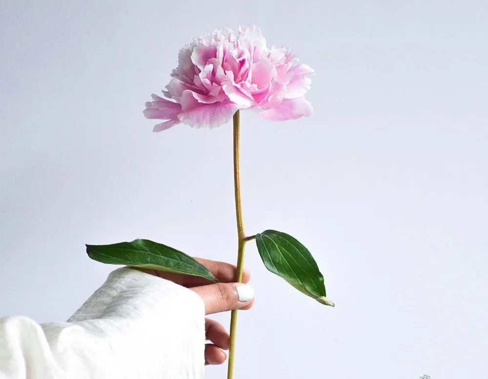 Tuyển chọn những lời chúc may mắn bình an giúp tạo động lực cho cuộc sống