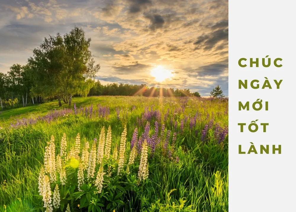 Lời chúc bình an mỗi ngày gửi đến cho người thân, bạn bè để họ luôn được tràn đầy hạnh phúc và an lành