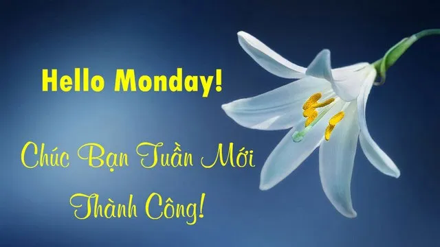 Lan tỏa niềm vui và tiếng cười bằng những lời chúc hóm hỉnh