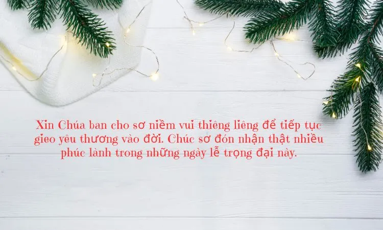 Ý nghĩa cao đẹp của việc chúc mừng Giáng Sinh các sơ