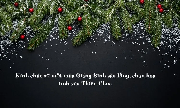 Lời chúc Giáng Sinh trang trọng dành cho các nữ tu