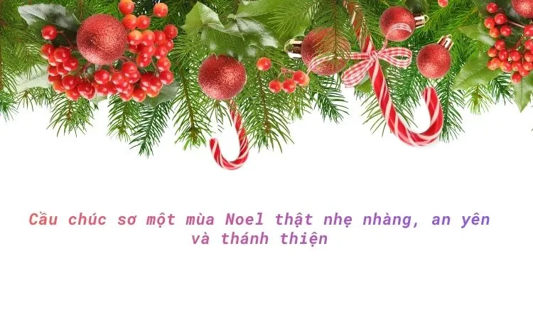 Lời chúc thể hiện lòng tri ân sâu sắc đến các sơ