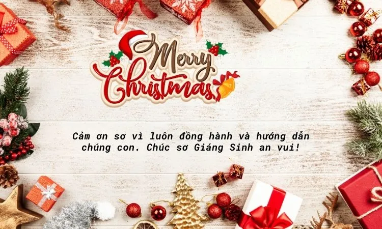 Cầu chúc bình an đến các sơ trong mùa Giáng Sinh