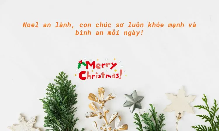 Lời chúc từ giới trẻ gửi đến các sơ thân yêu