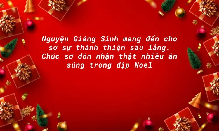 Thông điệp thiêng liêng gửi đến các sơ dịp Noel