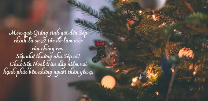 Gửi lời chúc hay cho sếp thể hiện sự chuyên nghiệp và lòng biết ơn của nhân viên