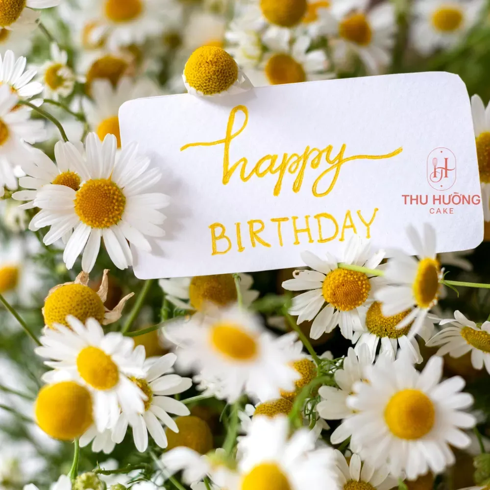 Câu chúc mừng sinh nhật bác gái ý nghĩa nhất