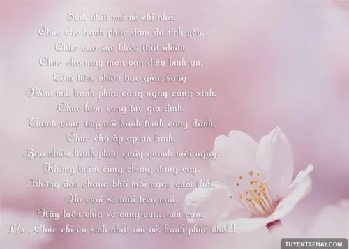 Hình ảnh chúc mừng sinh nhật chị gái mang phong cách nhẹ nhàng