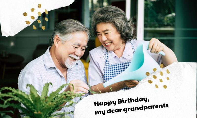 Lời Chúc Mừng Sinh Nhật Cho Người Lớn Tuổi Ý Nghĩa Và Thành Kính