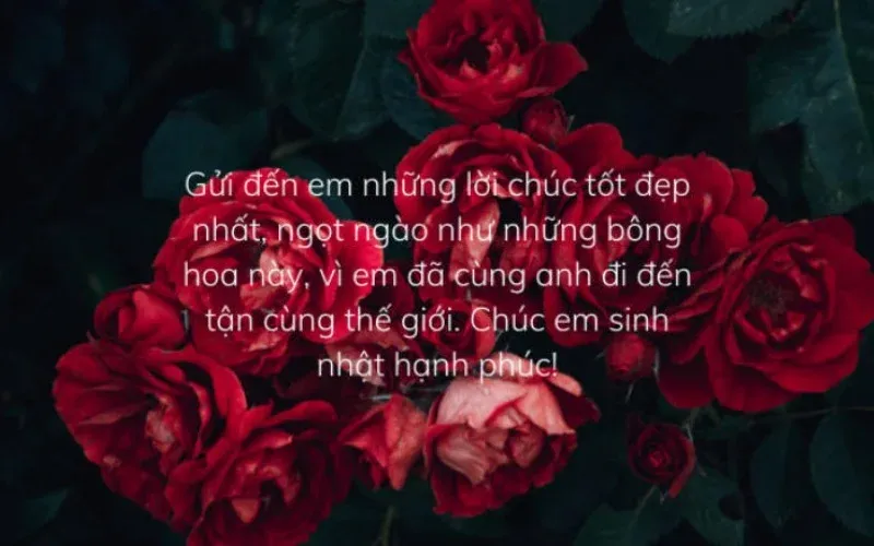 Hình ảnh chúc mừng sinh nhật vợ 4