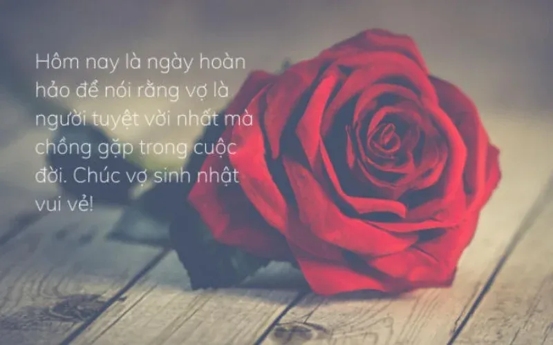 Hình ảnh chúc mừng sinh nhật vợ 6