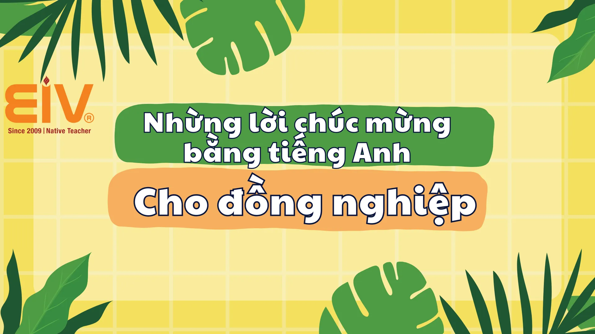 Lời chúc mừng tiếng Anh cho đồng nghiệp