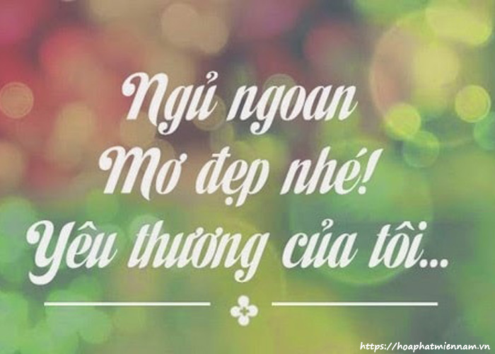 Lời Chúc Ngủ Ngon Cho Chồng Yêu Ngọt Ngào Và Ý Nghĩa Nhất