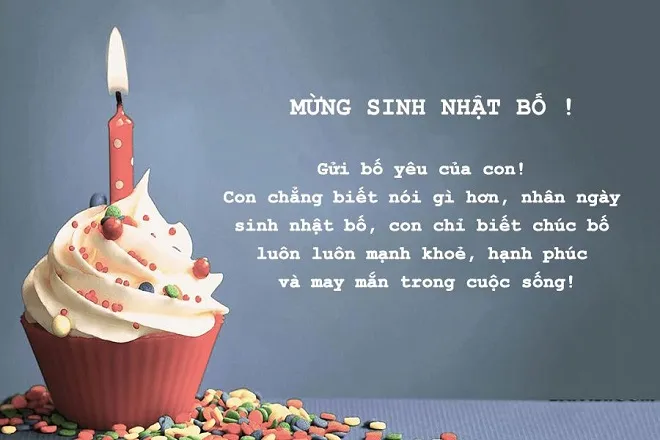Gửi đến cha những lời chúc yêu thương dịp sinh nhật