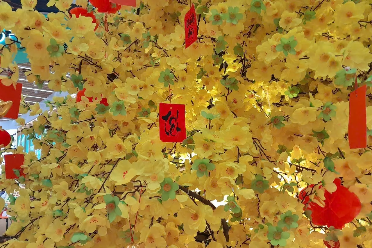 Lời chúc Tết dành cho các cặp đôi và tình cảm gia đình ấm áp