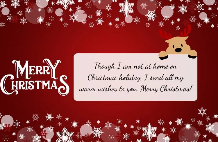 Lời chúc Giáng sinh hay ngắn gọn bằng tiếng Anh và tiếng Trung