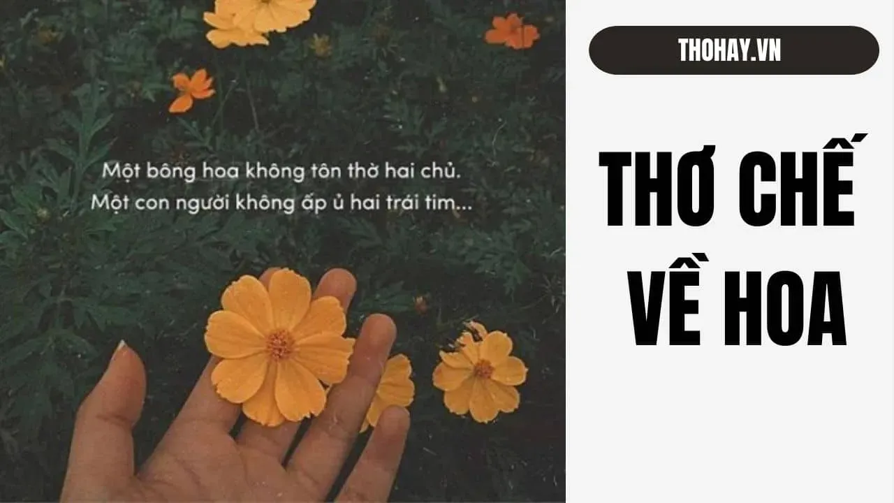 Minh họa nghệ thuật độc đáo về hoa, gợi nhắc những stt hoa đẹp hoa thơm hoa vẫn tàn và ý niệm về sự biến đổi không ngừng của cuộc sống.