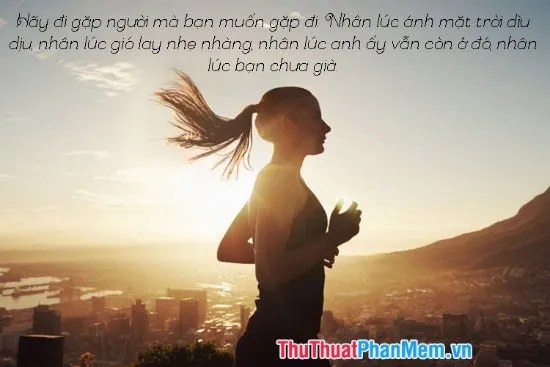 Luôn hướng về ánh sáng mặt trời để bóng tối lùi lại phía sau chúng ta