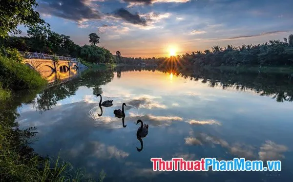 Tận hưởng ngày mới đẹp trời với tâm hồn thư thái và tràn đầy niềm vui