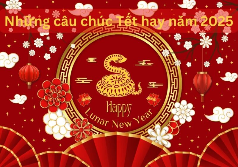 100 Lời Chúc Tết Ý Nghĩa Cho Đồng Nghiệp Năm Ất Tỵ 2025