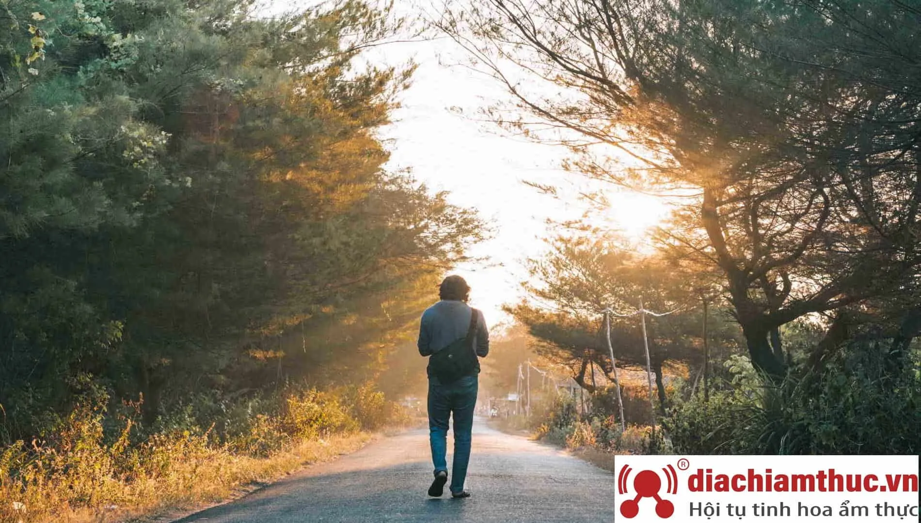 Những lời chúc tốt đẹp nhất dành cho những người đang sống độc thân