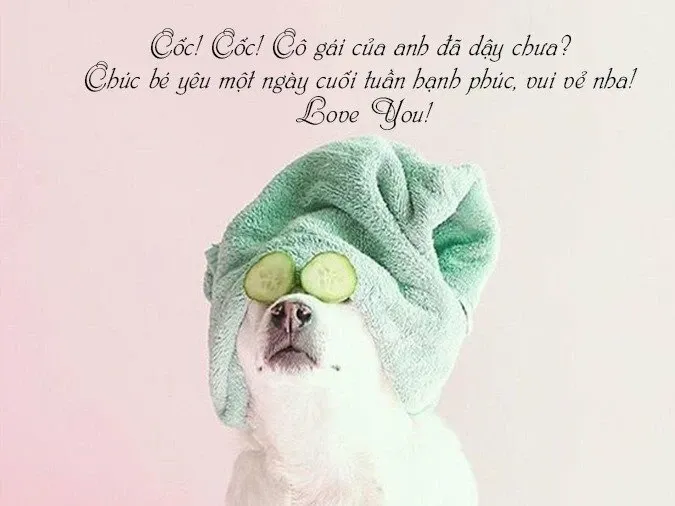 Hình ảnh chế chúc cuối tuần hài hước giúp xua tan mệt mỏi công việc