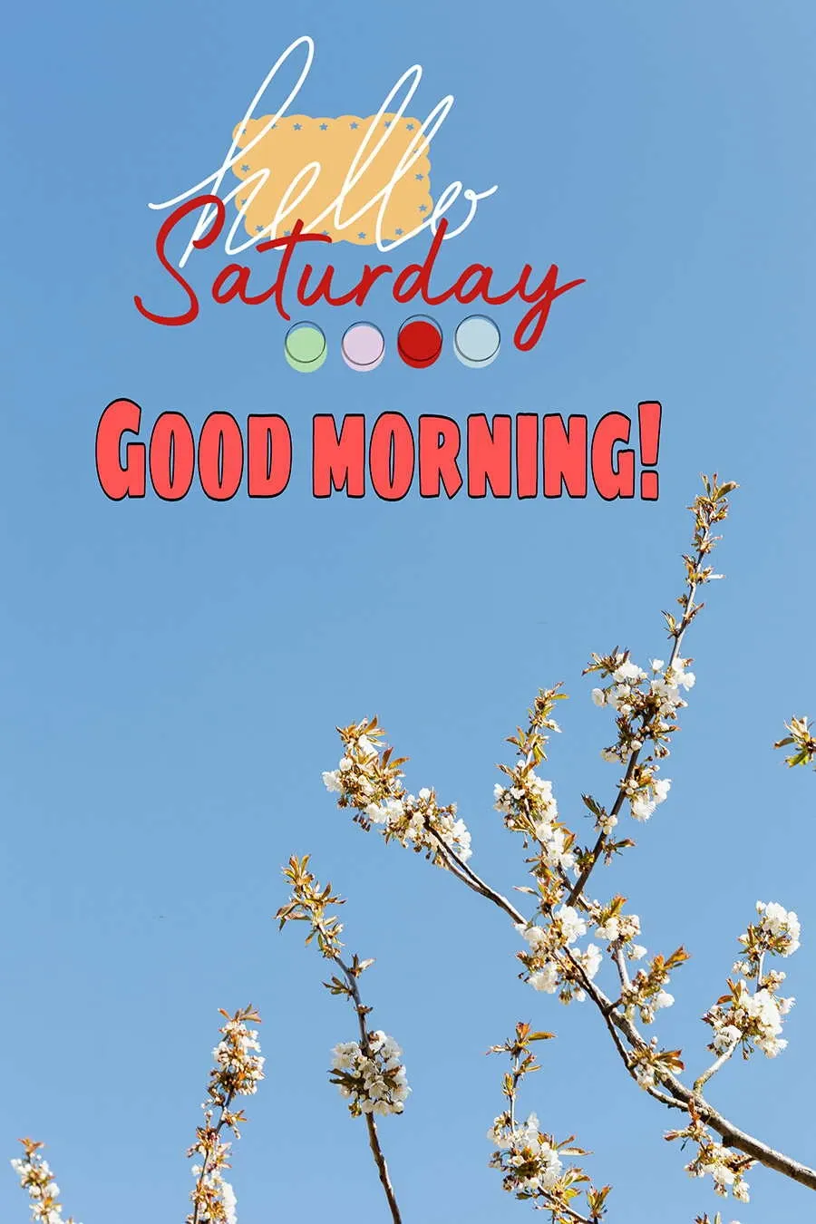 Mẫu thiết kế lời chúc cuối tuần cho khách hàng độc đáo và ấn tượng trên mạng xã hội