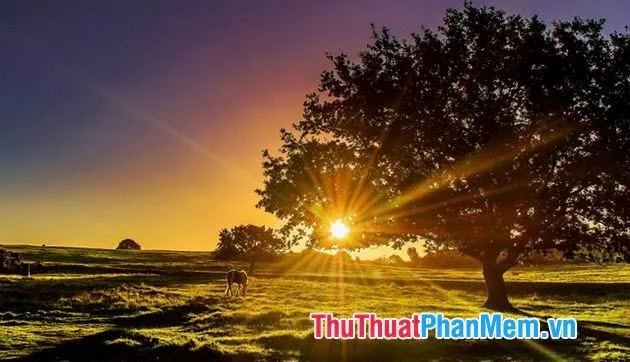 Bầu trời chuyển màu kỳ ảo lúc rạng đông khiến bất kỳ ai cũng phải say đắm