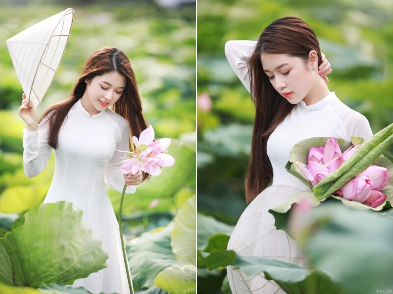 stt Về Hoa Sen Và Thiếu Nữ Tinh Khôi Và Ý Nghĩa Nhất