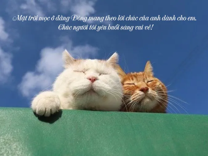 Sự hài hước là gia vị không thể thiếu cho một ngày mới năng động