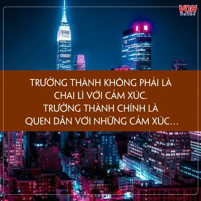Sống hiên ngang và ngọt ngào như những trái dứa giữa cuộc đời