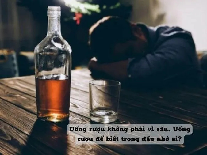 Những dòng trạng thái vui nhộn về việc uống rượu và chuyện yêu đương giúp tạo sự kết nối