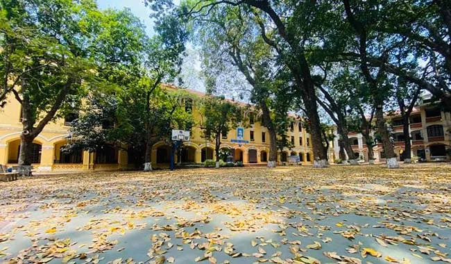 Sân trường rực rỡ trong ngày lễ khai giảng