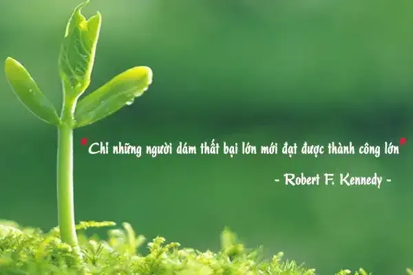 Sự cô đơn và lạc lõng của bản thân giữa những mối quan hệ xung quanh