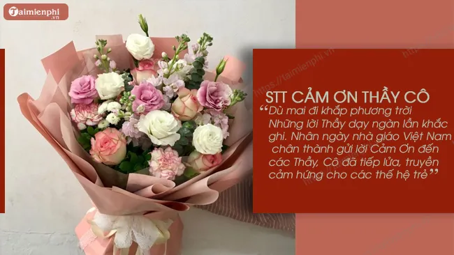 Những bức ảnh đẹp kèm stt cảm ơn cô giáo sẽ là món quà tinh thần vô giá cho thầy cô