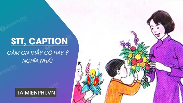 Những mẫu stt cảm ơn cô giáo ý nghĩa giúp bạn bày tỏ lòng tri ân sâu sắc