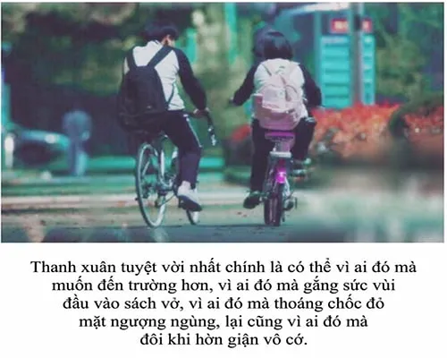 Tổng hợp những câu status hay về tuổi trẻ đầy ý nghĩa và cảm xúc