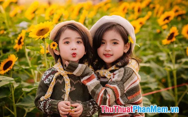 Những status cực chất về tình chị em xã hội