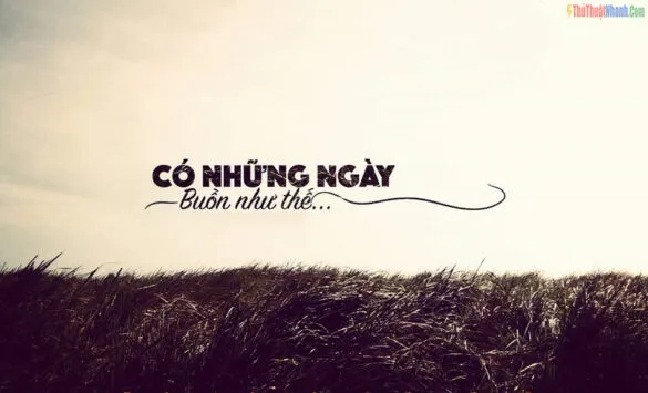 Những câu nói stt chán nản ngắn gọn giúp truyền cảm hứng tích cực