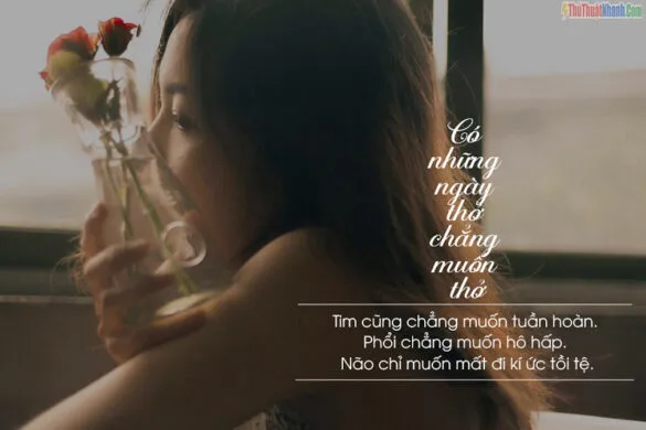 Vượt qua nỗi chán nản và thất vọng để tìm thấy ánh sáng phía cuối con đường