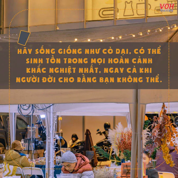 Sống mạnh mẽ như cỏ dại để vượt qua mọi nghịch cảnh của cuộc đời